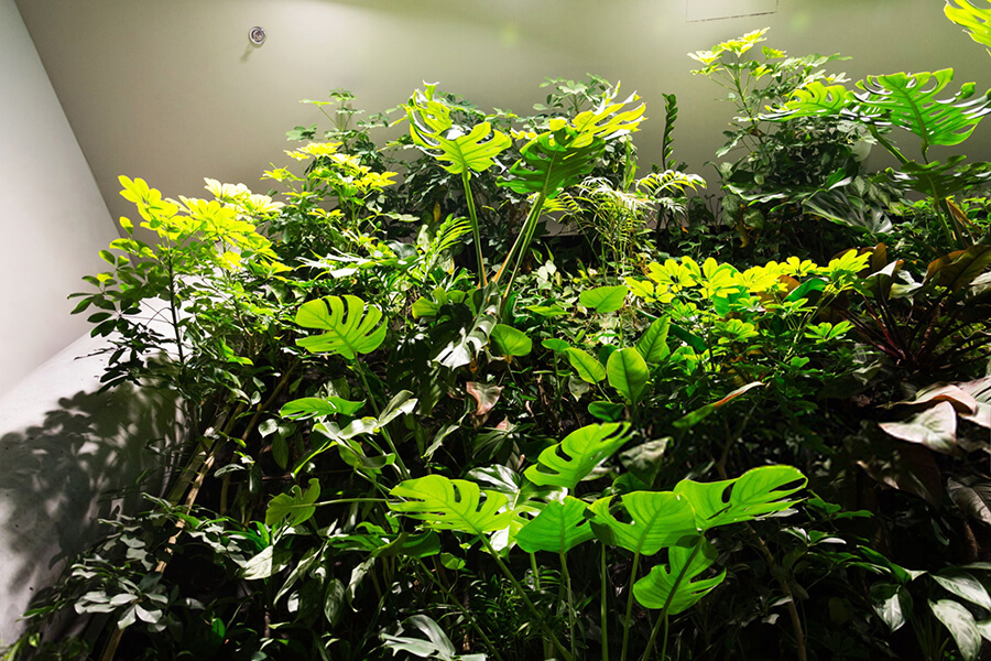 Indoor living wall with flowers and plants